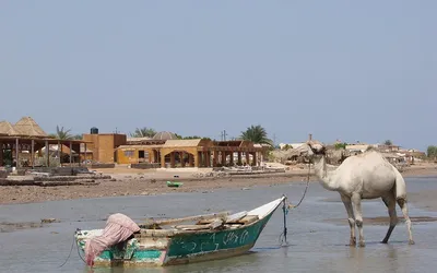 Nuweiba to niewielka miejscowość położona nad Zatoką Akaba