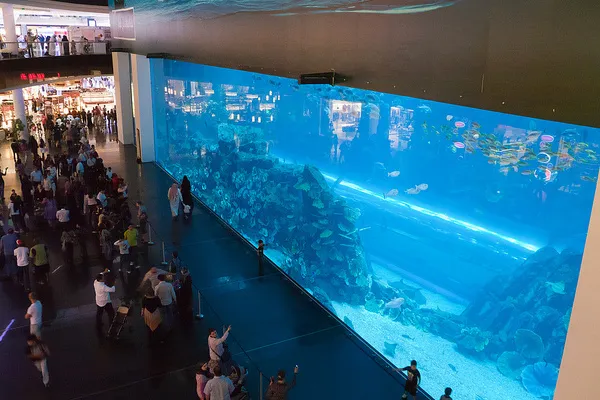 Zwiedzający przed wielką szybą akwarium w Dubai Mall