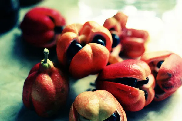 Bligia pospolita (Ackee)