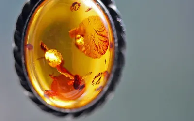 Bursztynowy wisior w srebrnej oprawie – typowa pamiątka z Wilna