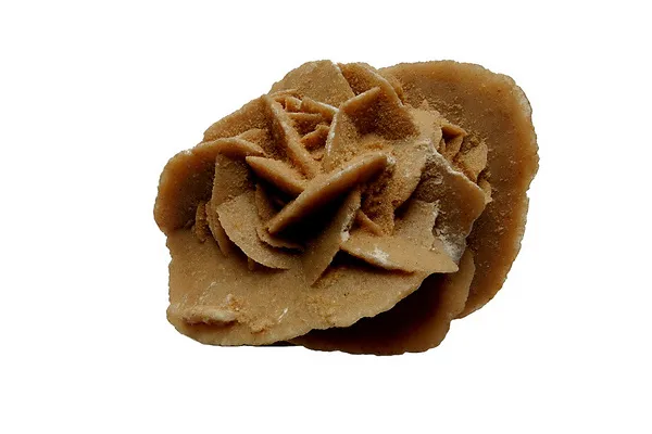 Róża pustyni