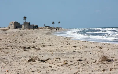 Piaszczysta plaża Dżerby z palmami i wzburzonym morzem