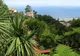 Juki i paprocie drzewiaste w ogrodzie na Maderze, w tle Funchal