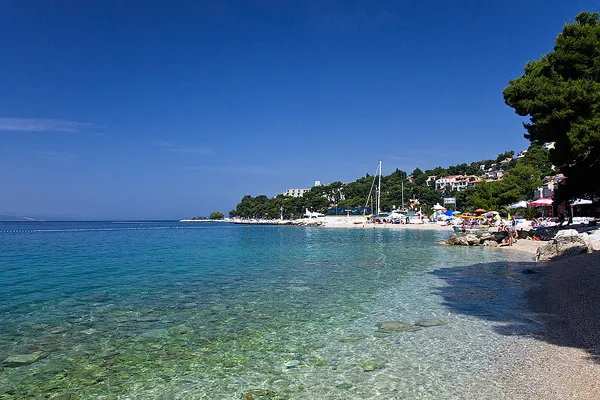 Punta Rata otoczona jest lasem sosnowym