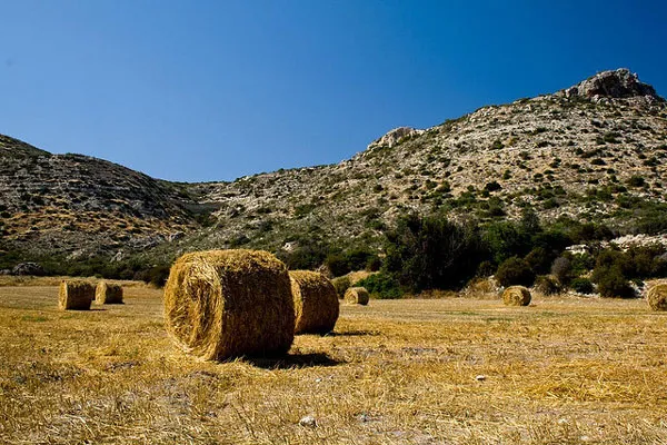 Zwoje siana na wyschniętym polu u podnóża skalistych wzgórz w dystrykcie Limassol