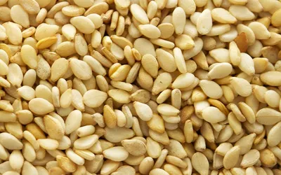Sezam — złote nasionka, podstawa pasty tahini i wielu potraw egipskiej kuchni