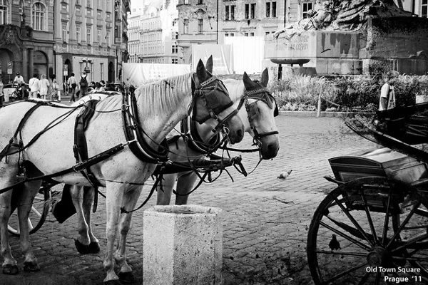 Rynek Staromiejski