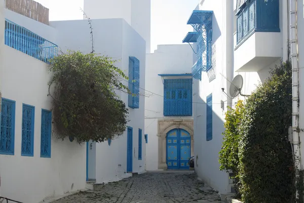 W Sidi Bou Said…