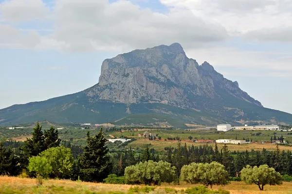Djebel Ressas