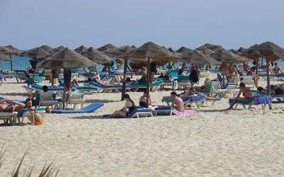 Turyści wypoczywający na leżakach pod słomianymi parasolami na plaży w Tunezji