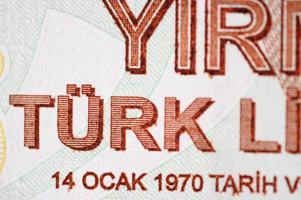 Zbliżenie napisu „Türk Lirası” na banknocie 20 lir tureckich