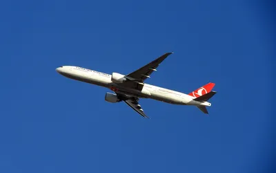 Samolot linii lotniczych Turkish Airlines