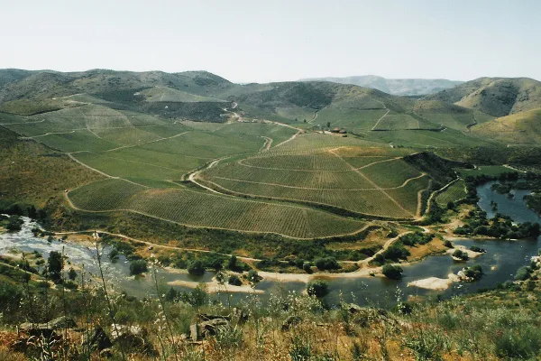 Alto Douro – region winiarski w północno-wschodniej Portugalii