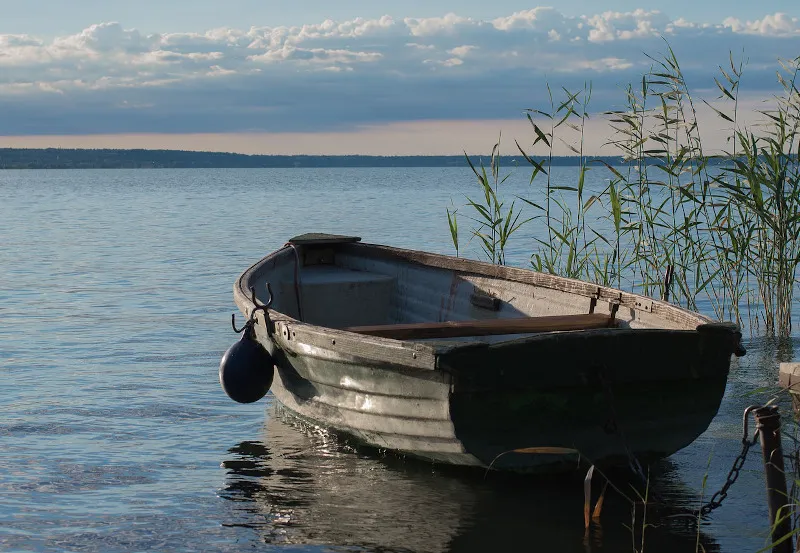 Drewniana łódź przycumowana przy trzcinach na brzegu Balatonu