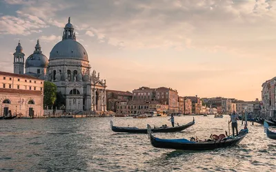 Gondole na Canal Grande i bazylika Santa Maria della Salute w Wenecji o zachodzie słońca