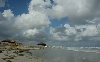 Plaża na wyspie Djerba (Dżerba)