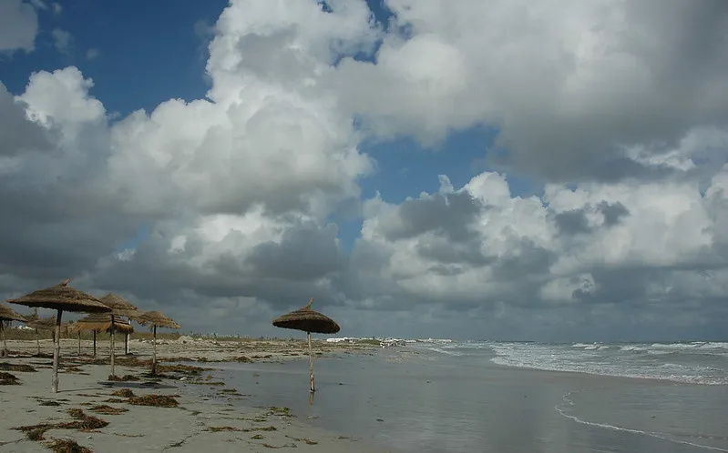Plaża na wyspie Djerba (Dżerba)