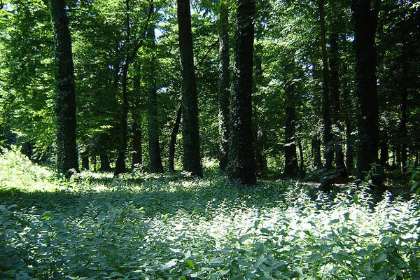 Park Maksimir – zielone serce Zagrzebia