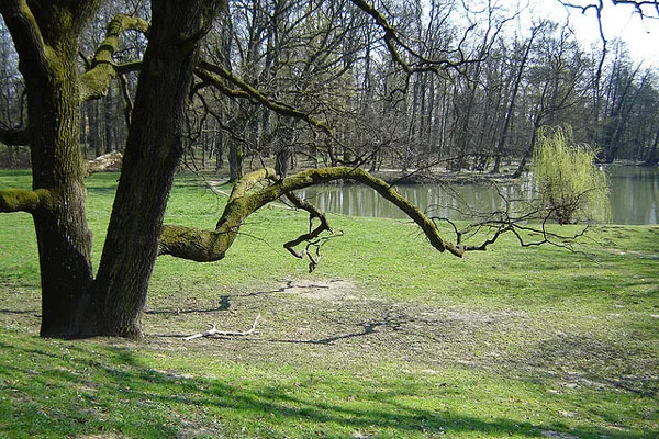 Maksimir Park wczesną wiosną