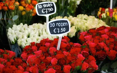 Bukiet pachnących kwiatów prosto z Holandii