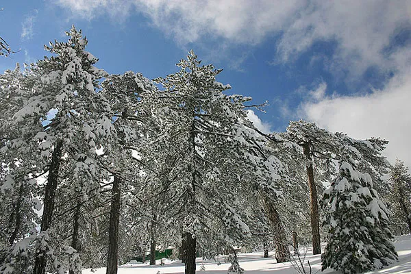 Zima w górach Troodos