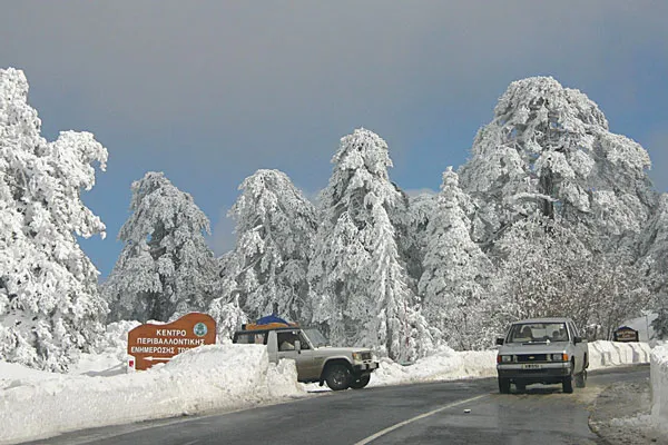 Troodos zimą