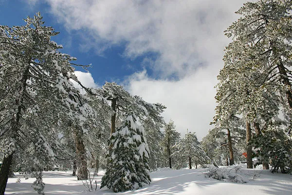 Luty w Górach Troodos