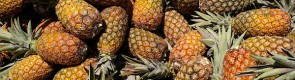 Brazylia ojczyzną ananasa