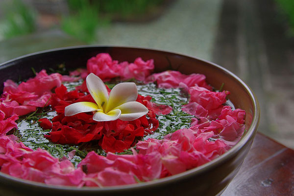Bali | W dekoracjach ślubnych królować mogą przepiękne plumerie