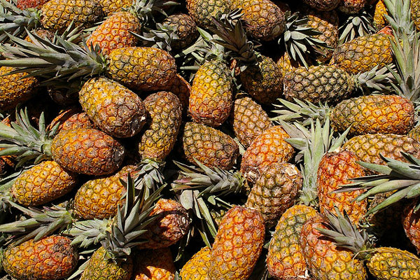 Brazylia | Ojczyzną ananasa jest Brazylia