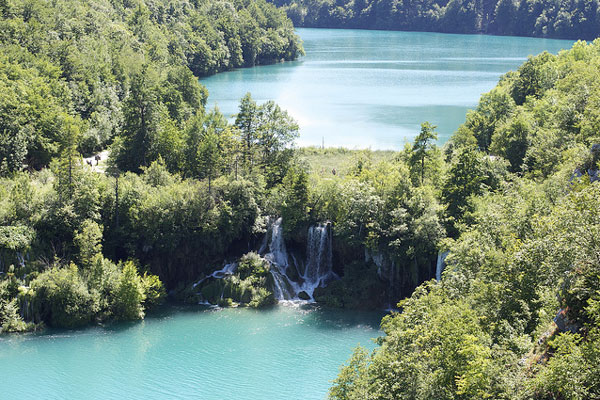 Chorwacja | Wciąż jeszcze wahacie się, czy włączyć Jeziora Plitwickie w plan waszej chorwackiej wycieczki?