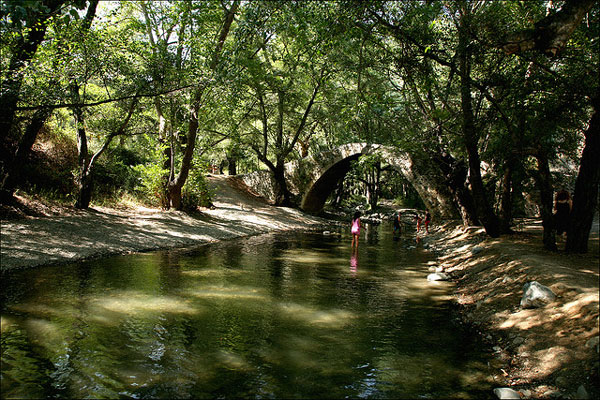 Cypr | Przepiękny las u brzegów rzeki Diarizos