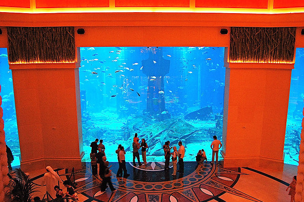 Dubaj | Park wodny Atlantis 