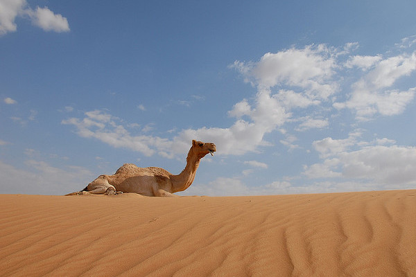 Dubaj | Piasek pustyni jest biały, czysty i gładki
