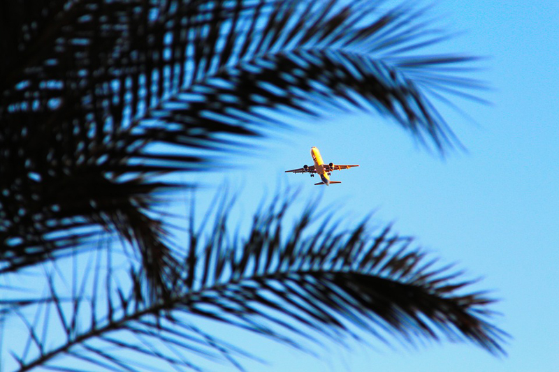 Egipt | do Egiptu możemy dotrzeć zarówno samolotami regularnych linii lotniczych, jak i lotami czarterowymi