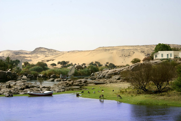 Egipt | Rejs po Nilu – pozdrowienia z nad Nilu