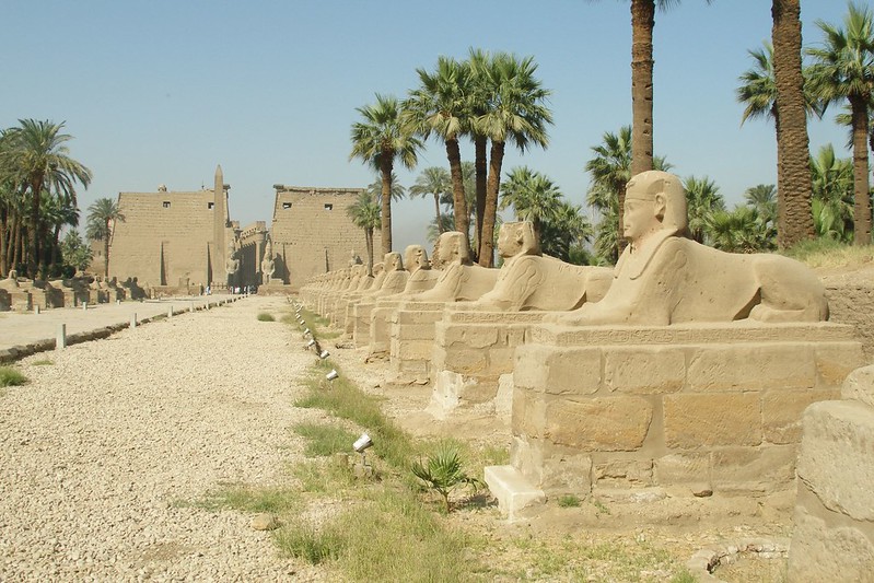 gipt | W starożytności świątynie Luksoru i Karnaku łączyła aleja Sfinksów