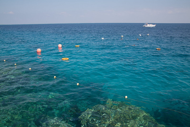 Egipt | Morze w Makadi Bay jest ciepłe i krystalicznie czyste 