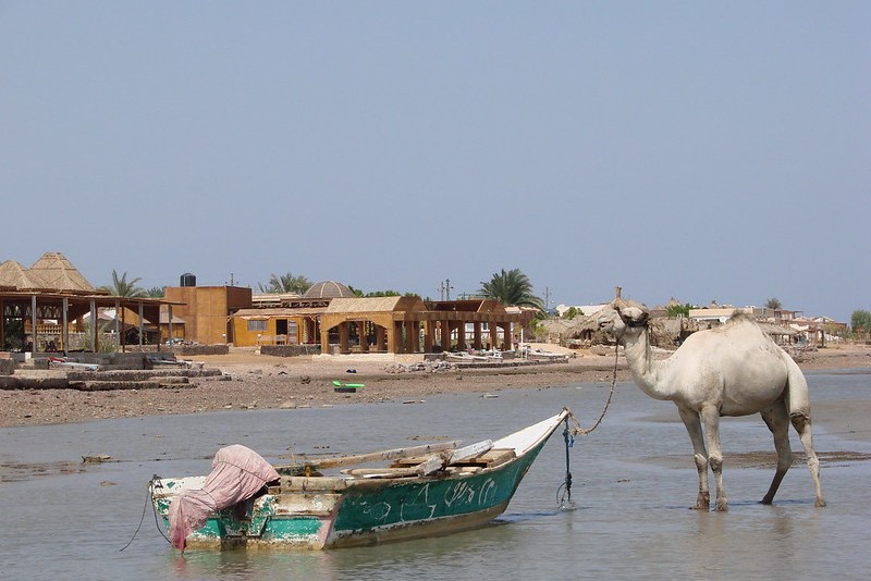 Egipt | Nuweiba to niewielka miejscowość położona nad Zatoką Akaba