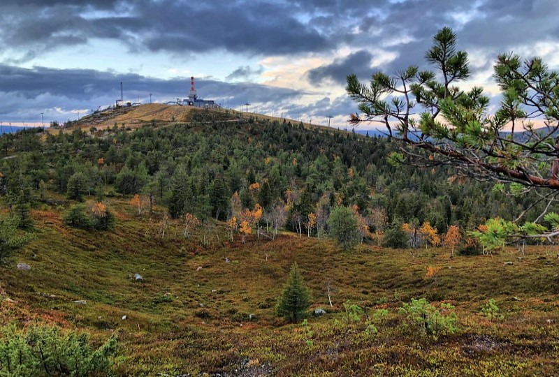 Finlandia | 69% fińskiego lądu stanowią lasy, w których dominują drzewa iglaste