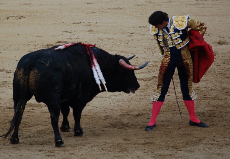 Hiszpania | Widowiskowa walka człowieka z bykiem