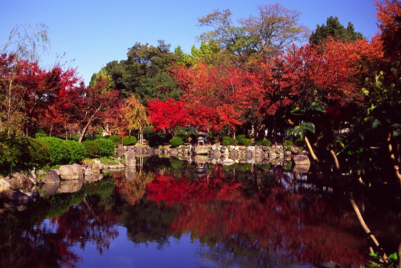 Japonia | Jesienią Japonia zachwyca kolorami