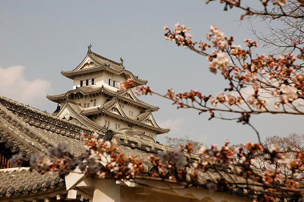 Japonia | Średniowieczny Zamek Himeji