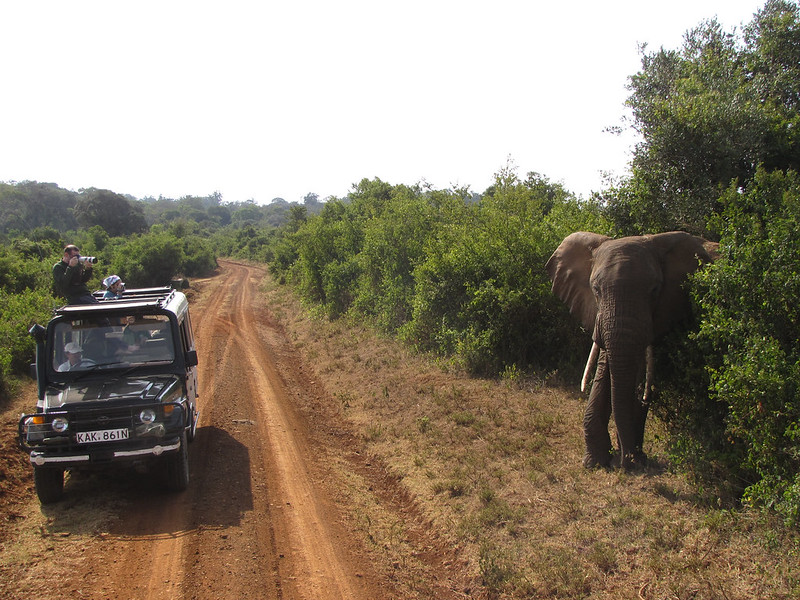 Kenia | Na safari podstawowe zasady bezpieczeństwa, to niewysiadanie z pojazdu w miejscach nie-dozwolonych i dokładne sprawdzenie przewoźnika oraz pojazdu przed wyprawą
