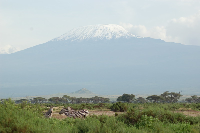 Kenia | Park Narodowy Amboseli - widok na Kilimadżaro