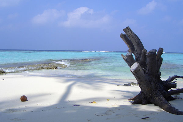 Malediwy | Niezamieszkana wysepka Asdhoo w atolu Kaafu