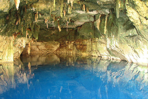 Meksyk | Cenoty to system zalanych wodą jeziorek, jaskiń oraz tuneli, znajdujących się na półwyspie Jukatan