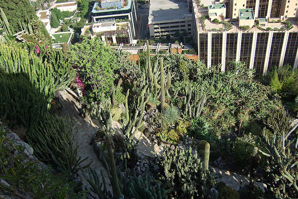 Monako | Egotyczny Ogród w Monako położony jest na grzbiecie skalistego wzgórza