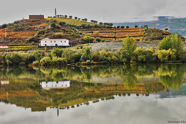 Portugalia | Widok na rzekę Douro