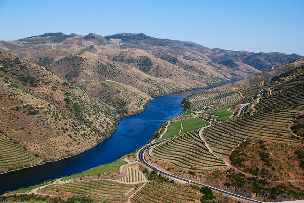Portugalia | Rzeczna dolina stanowi idealne miejsce do uprawy winogron